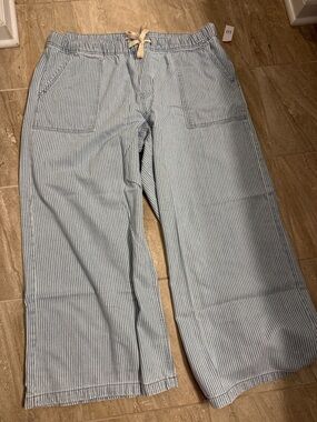 GAP Light Blue and White Pinstripe Wide-Leg Drawstring Jeans